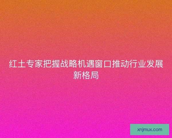 红土专家把握战略机遇窗口推动行业发展新格局